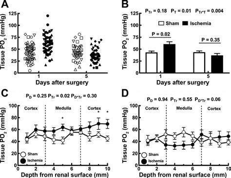 Image result for Clrk Electrode ABG PaO2