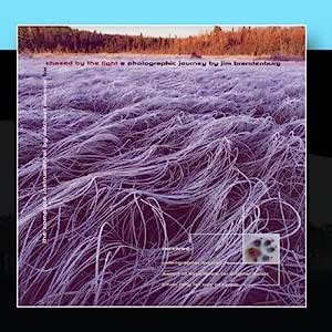 Chased by the Light: Michael Monroe: Amazon.in: Music}