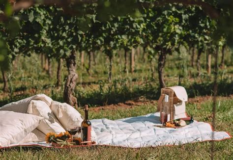 Engagement Proposal Package — Defiance Ridge Vineyards