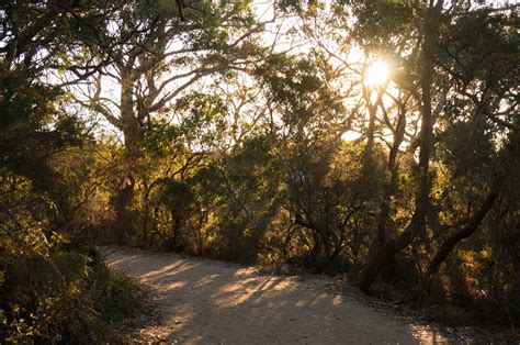 Royal National Park - Teil 2 - Sebastian Born
