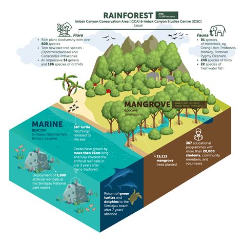 World Environment Day: Why Biodiversity Conservation Counts | Yayasan PETRONAS