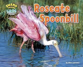 Buy Roseate Spoonbill (Swamp Things: Animal Life in a Wetland) Book ...