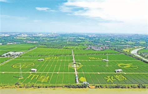 北京中农富通园艺有限公司_专注一站式农业高科技服务