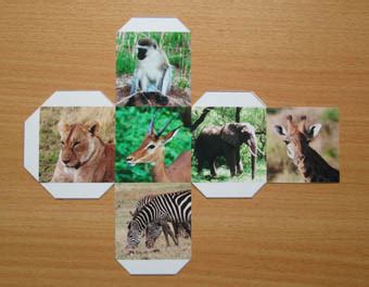 Image result for Cube File Editing