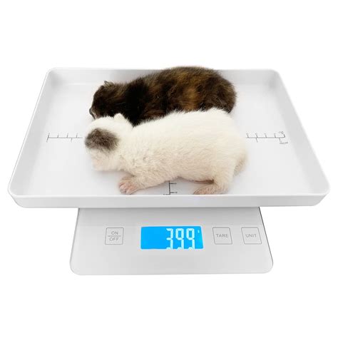 MINDPET-MED Digital Pet Scale for Small Animal, India | Ubuy