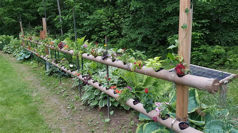 Hydroponic Systems DIY 的图像结果