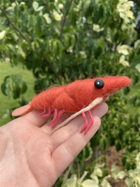 It is undeniable - shrimps is bugs & I made an adorable bug! : r ...