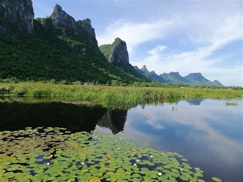 BUENG BUA NATURE OBSERVATION CENTER (2026) All You Need to Know BEFORE ...