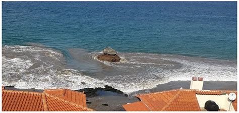 New Observational Material about Seismic and Non-Seismic Tsunamis in ...