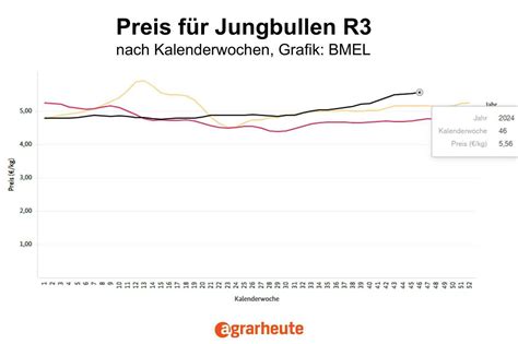 Rinderpreise extrem hoch, Jungbullen teuer - doch Landwirte unter Druck ...