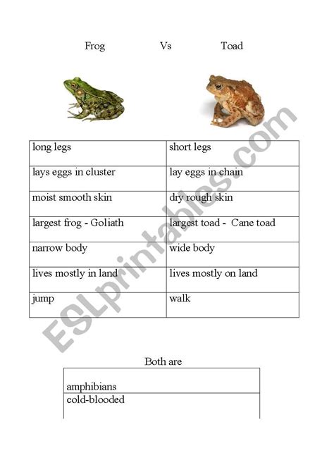 Image result for Deep and Shallow Copy in Python