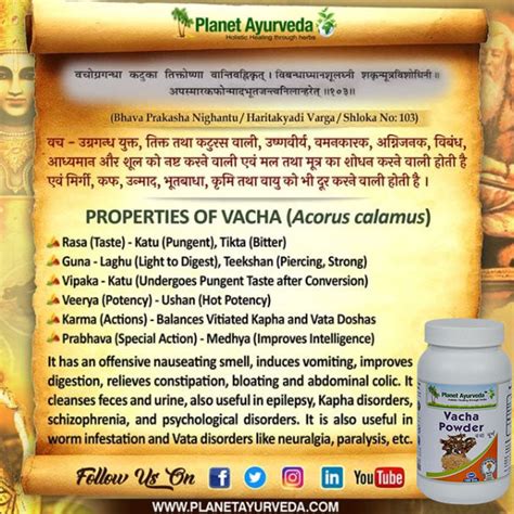 Planet Ayurveda Vacha Powder - Usage, Dosage and Benefits
