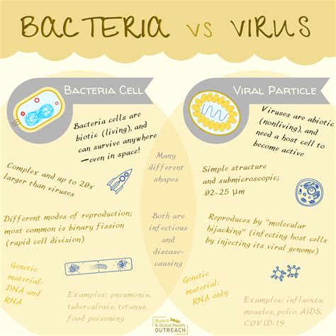 Bacteria Vs Virus Activity at Mason Waddy blog