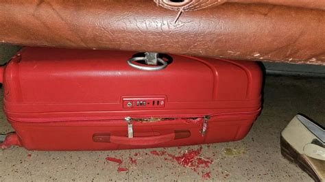 Rats Damage Suitcases on Jnaneswari Express, Netizens Demand ...