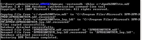DPM Rename Protection Server 的图像结果
