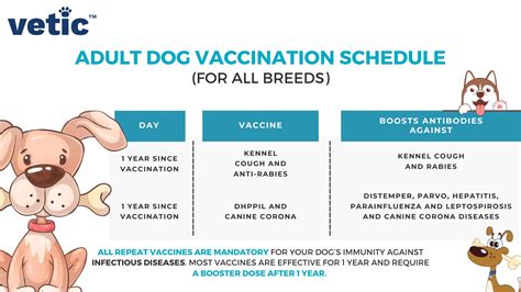 Schedule of Mandatory Vaccines for Dogs and Puppies in India