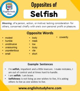 Opposite of Selfish, Antonym of Selfish, 13 Opposite Words For Selfish ...