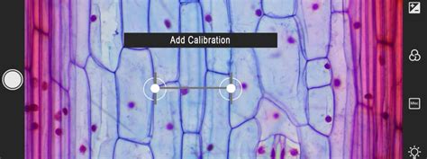 Image result for Free Science Lessons How Microscope Can Be Calibrated