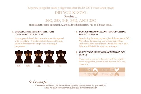 34d Bra Size