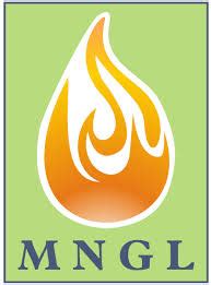 Integrity Asset Management System at MNGL