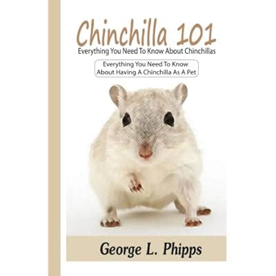 Buy Chinchilla 101: Everything You Need To Know About Chinchillas ...