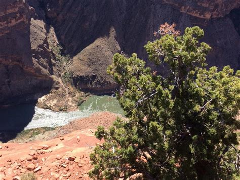 TUWEEP TOURS (2025) All You Need to Know BEFORE You Go (with Photos ...