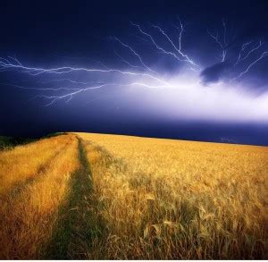 Summer Storm Premium Poster Canvas Art - ArtzFolio.com posters ...