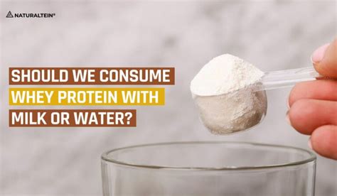 Should We Consume Whey Protein with Milk or Water? – naturaltein