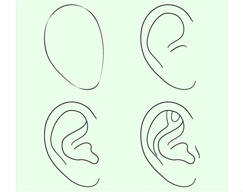 Image result for Ear Drawing Tutorial