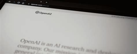 Openai Data Collection and Privacy 的图像结果