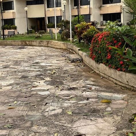 DAMAI BEACH RESORT (Kuching, Sarawak) - Hotel Reviews, Photos, Rate ...