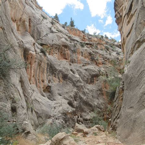 COTTONWOOD WASH NARROWS - All You Need to Know BEFORE You Go 2026 (with ...