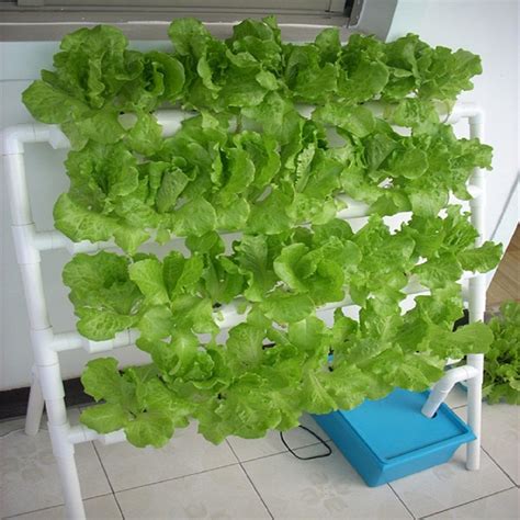 Inhydro - 32 Plants DFT hydroponics System suitable for growing ...