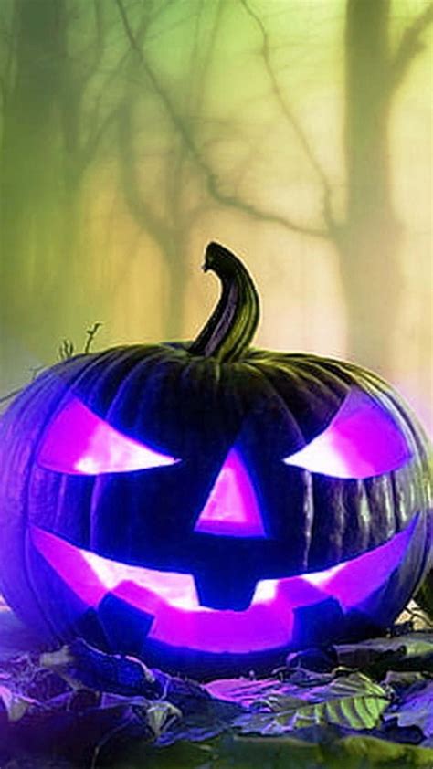 Download Purple Jack O Lantern iPhone Halloween Background | Wallpapers.com