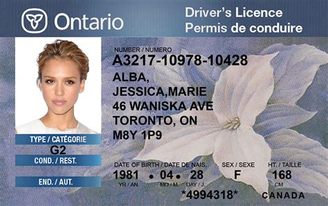 Image result for Create Fake Drivers License