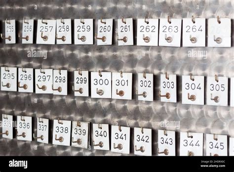 Image result for Explaining Sign Numbers