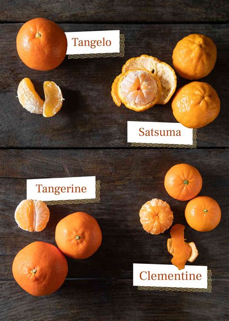 Mandarin Orange Varieties Types Of Citrus Trees Varieties Of Citrus