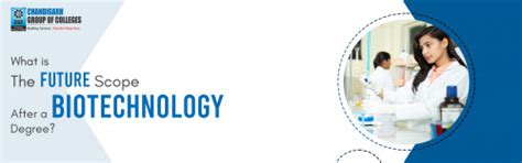 Best Career Paths after Mechanical Engineering