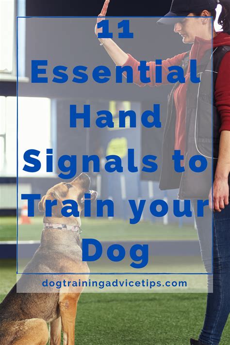 Image result for Service Dog Hand Signals