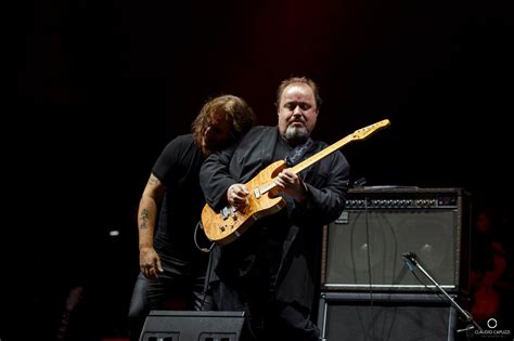 Galería - The Web In Spanish