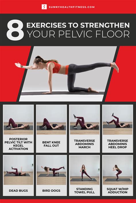 Top Pelvic Floor Too Tight You’ll Love