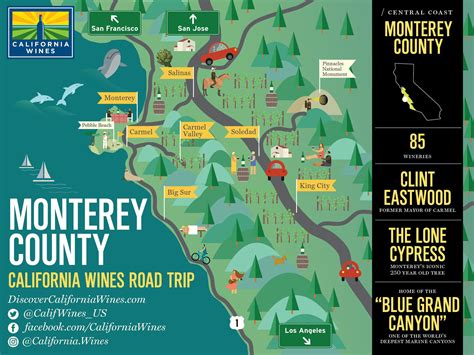 California's Monterey wine region is home to 85 wineries, whale ...