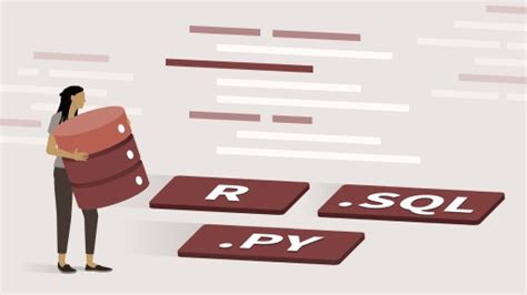 Image result for Programming Languages R Python SQL