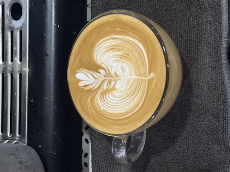 Rosetta Latte Art 21st Aug - Lefty Coffee