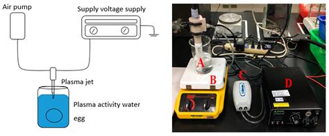 The Optimization of Plasma-Activated Water Treatments to Inactivate ...