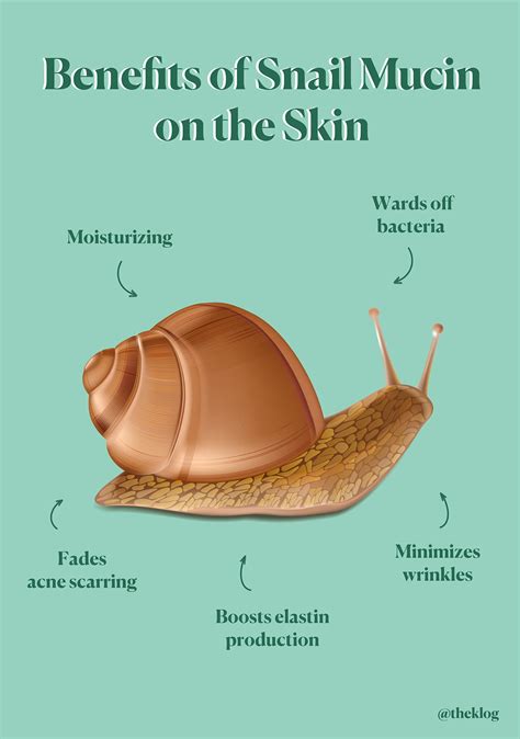 Why Snail Mucin Is A Skincare Gamechanger