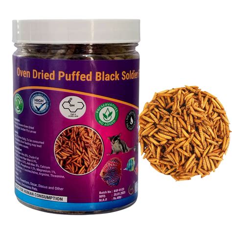 Black Soldier Fly Larvae Dried 300 Gram Puffed Bsf Larvae | Desertcart ...