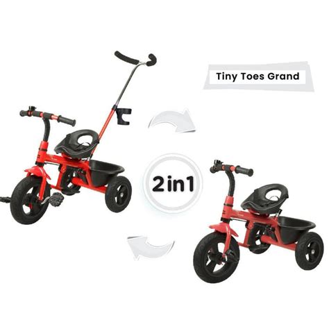 R for Rabbit Tiny Toes Grand Tricycle — Toycra