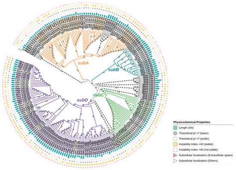 Identification and Evolutionary Analysis of the Widely Distributed CAP ...
