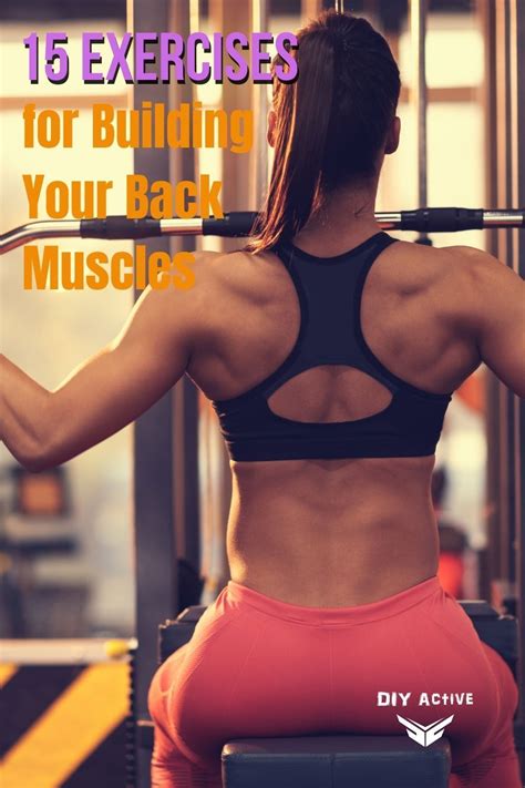 Image result for Back Muscles Exercises